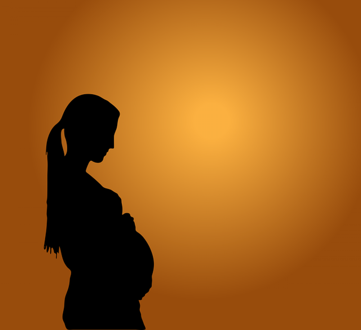 Valoracin del riesgo laboral durante el embarazo