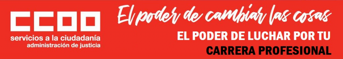 El poder de luchar por tu Carrera Profesional