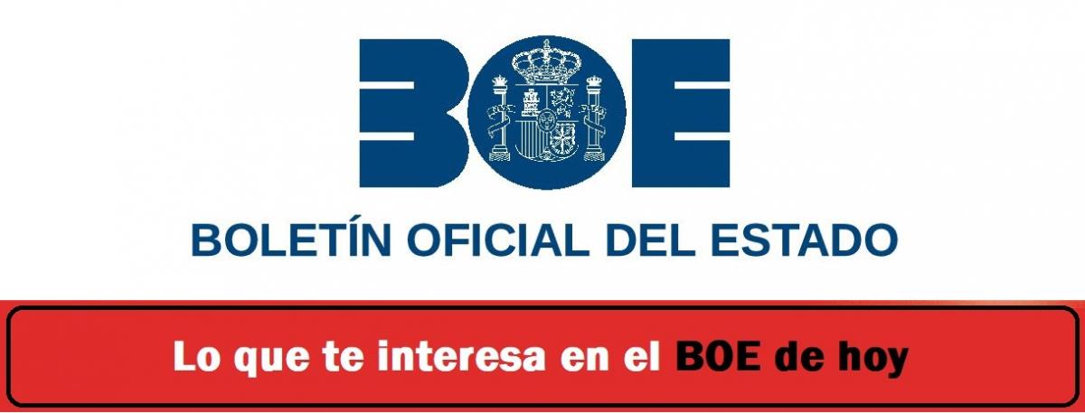 BOE de hoy