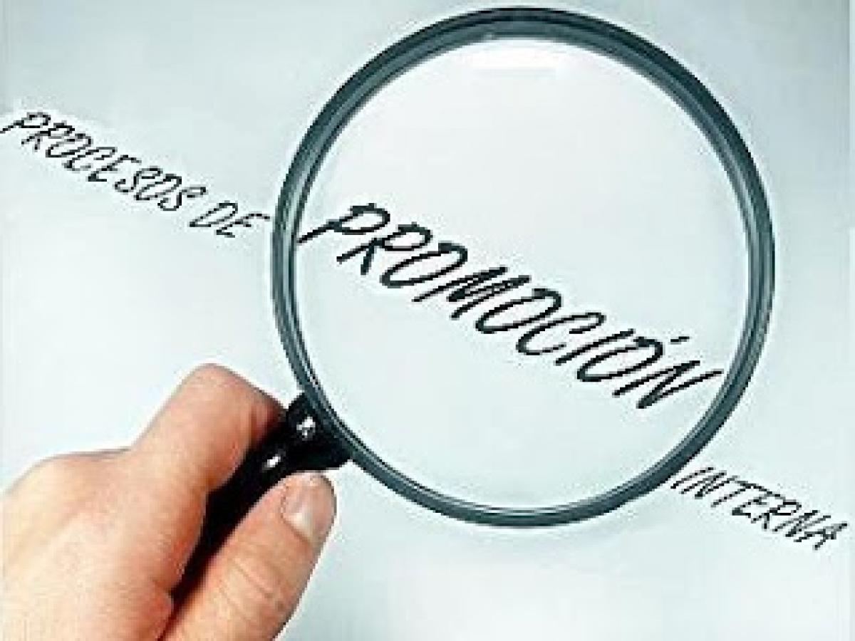 Promoción Interna