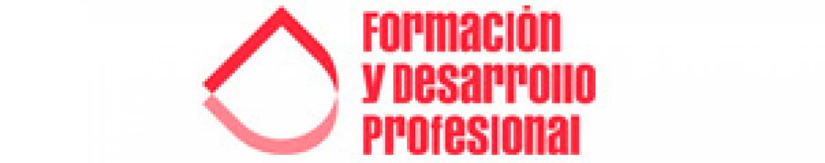 Formación y desarrollo profesional